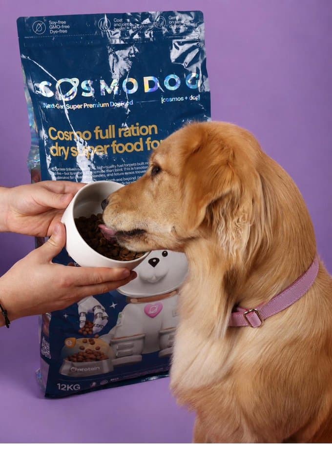 Luna the golden retriever eating from a bowl beside a large Cosmodog food bag
