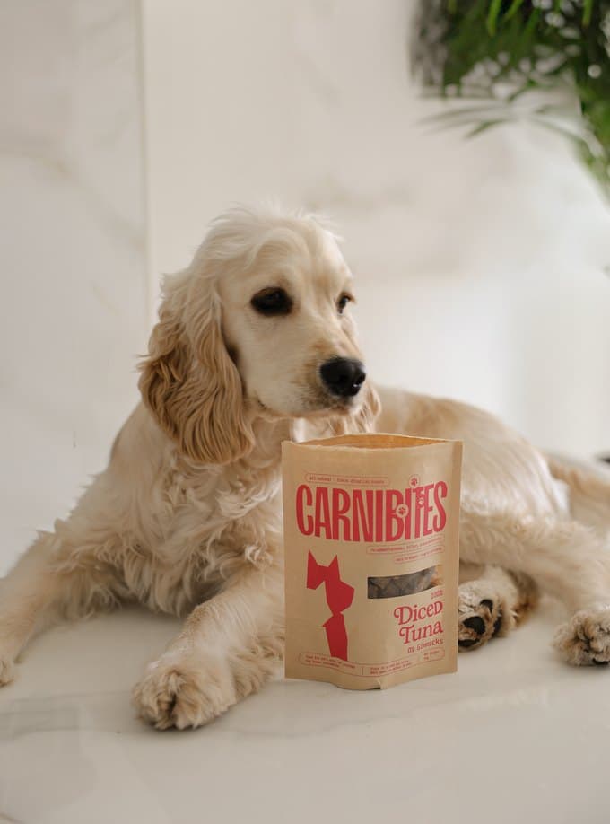 Stella the cream cocker spaniel lying beside a pack of Carnibites diced tuna treats